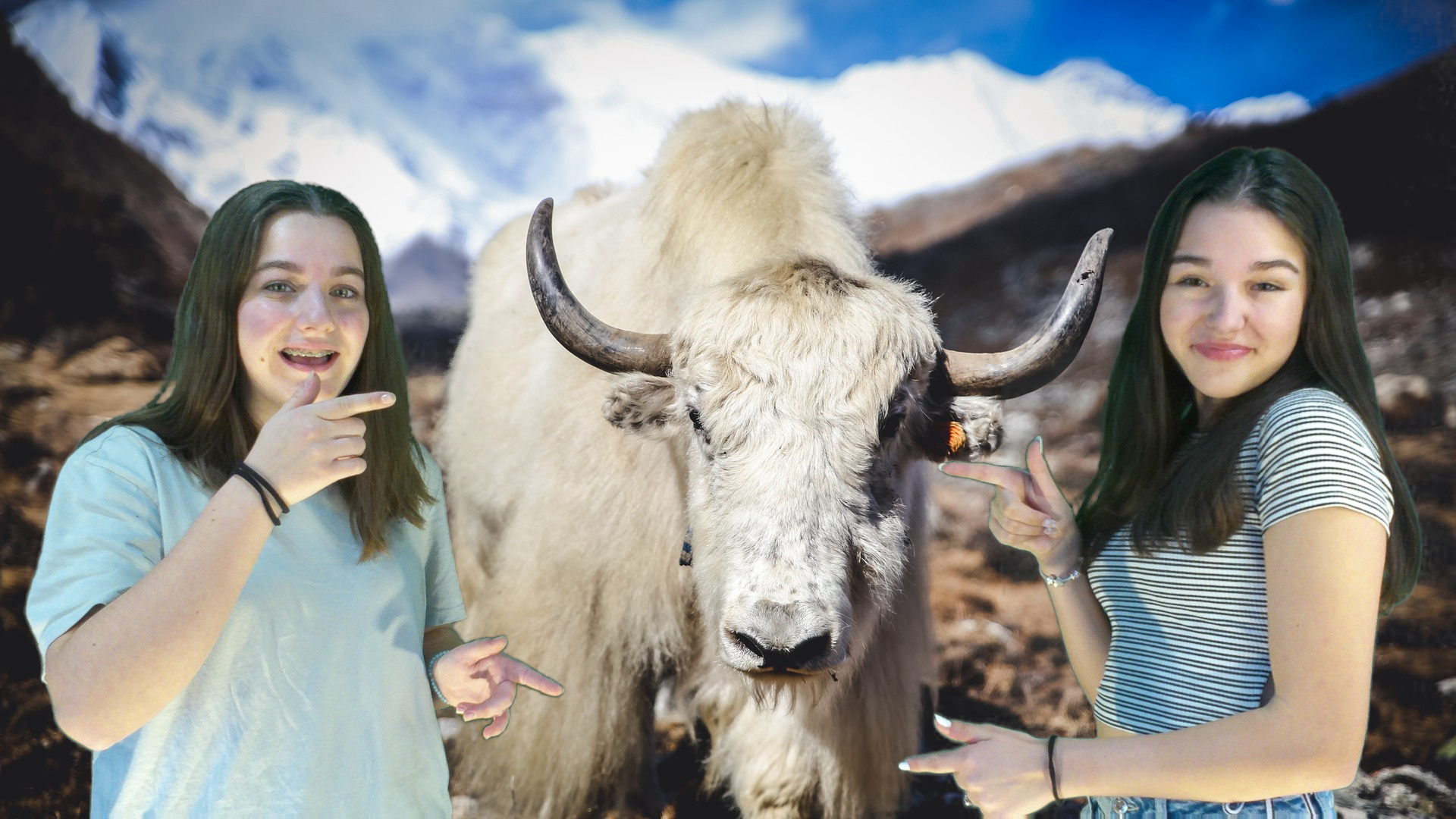 Jeannine and Friends in Australien