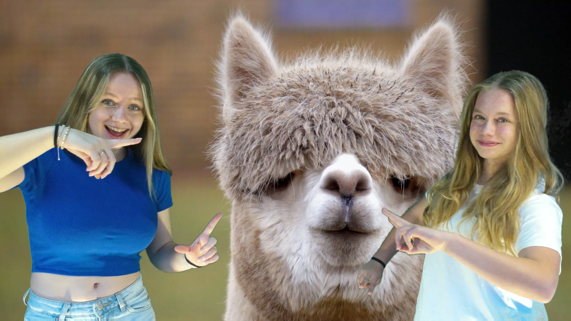 Gewerbeausstellung 5057 Reitnau - Genialer Schnappschuss